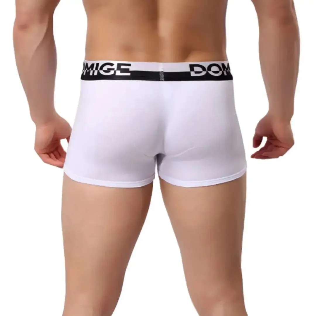 DomiGe Men's Cotton Boxer Briefs Turtle Shell Male Underwear