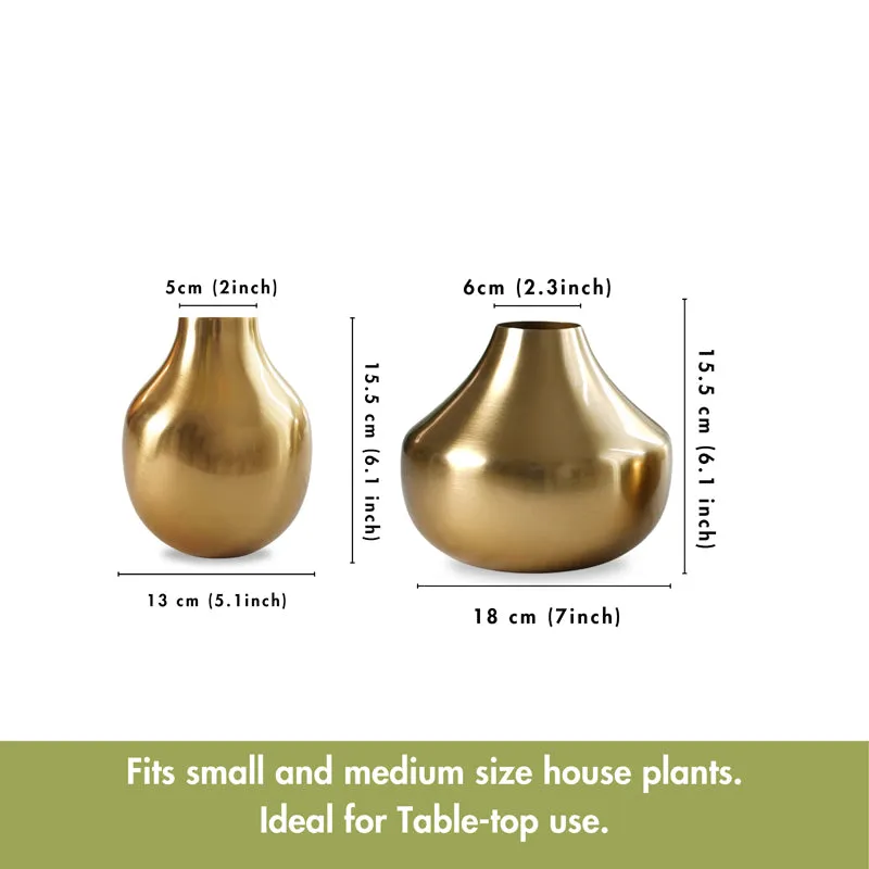 Limus Lumio Metal Vase