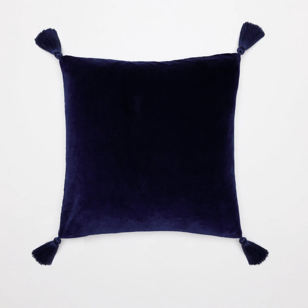 Tiger Cushion