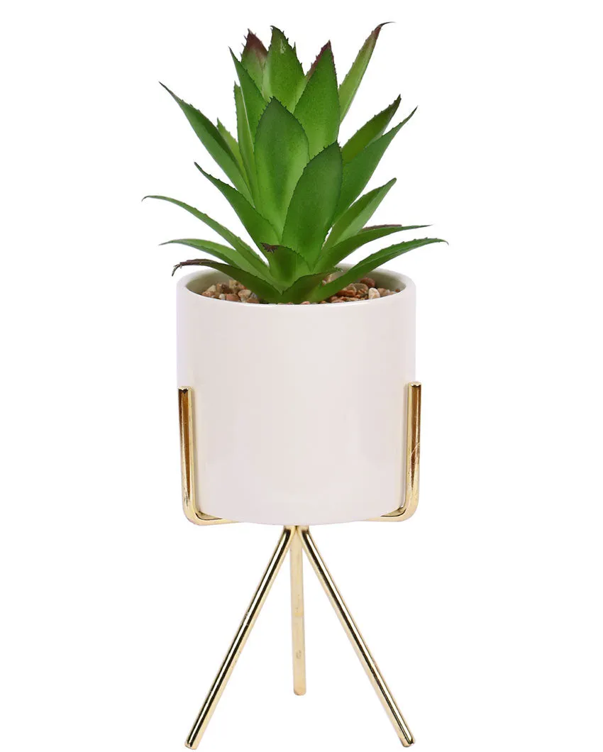 Urban Chic Succulents Artificial Plant with Ceramic Pot & Metal Tripod Stand | 10 inches