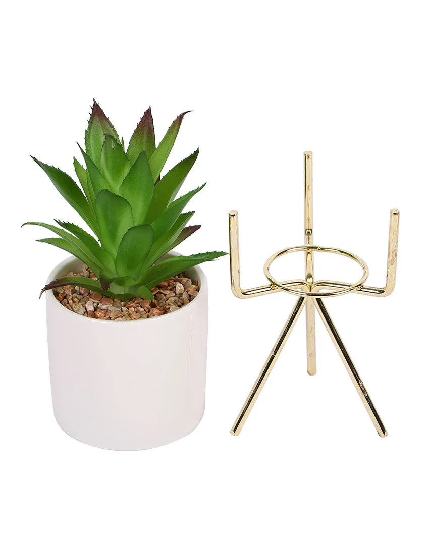 Urban Chic Succulents Artificial Plant with Ceramic Pot & Metal Tripod Stand | 10 inches
