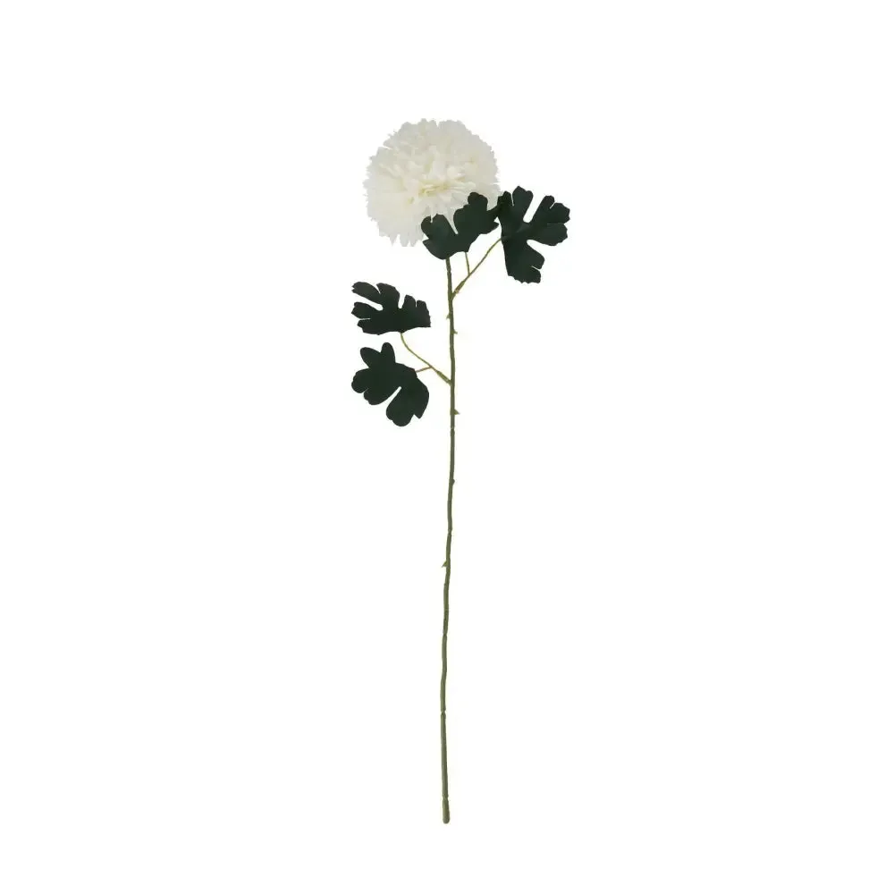 White short chrysanthemum