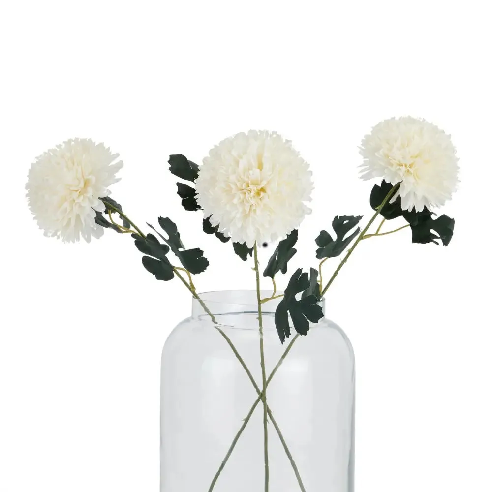 White short chrysanthemum